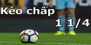 keo 1 4 nghia la gi 2