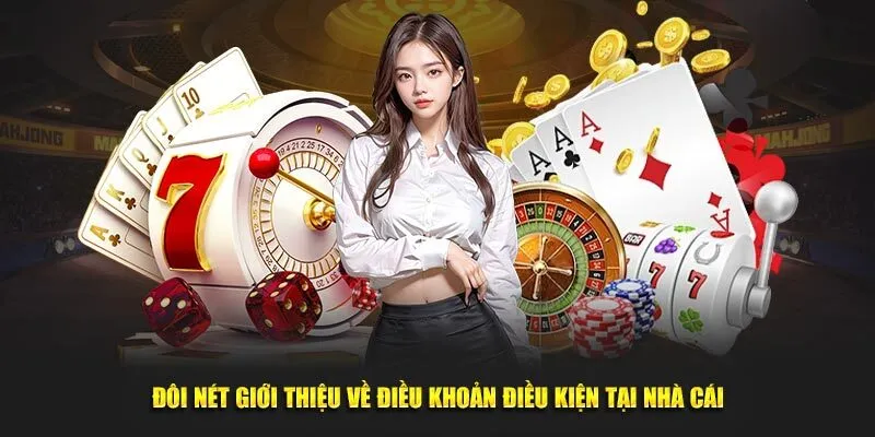 Điều khoản và điều kiện Bongdalu - Quy định khi tham gia 1 Tổng quan về quy định sử dụng tại Bongdalu
