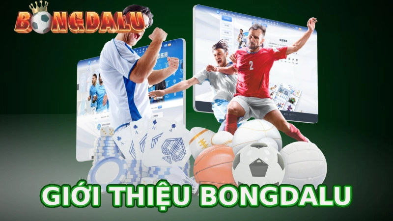 Trang chủ 31 bongdalu